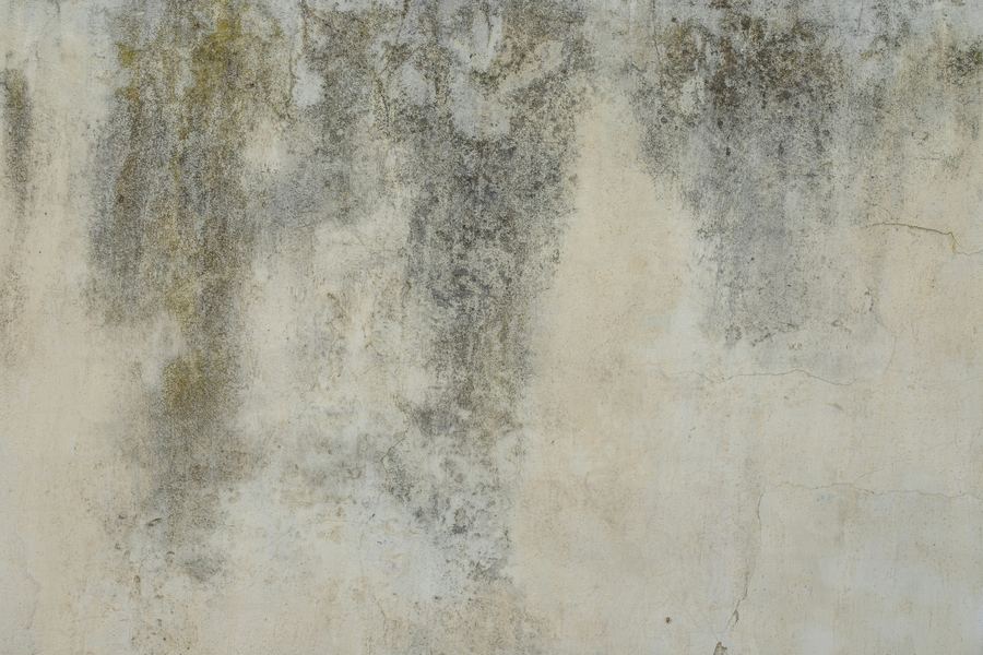 Wall Waterproofing Touch-up